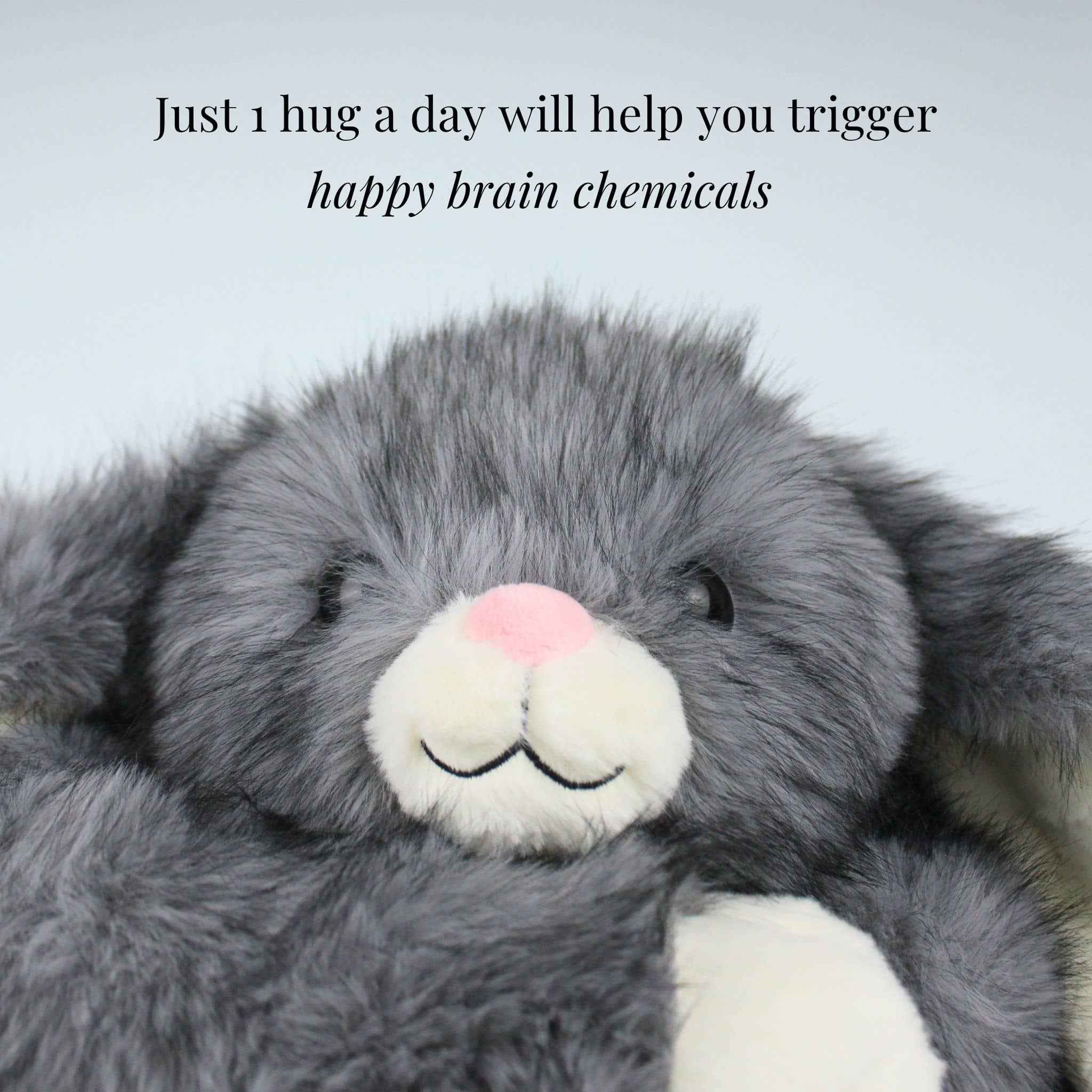Barley the Bunny Weighted Animal - Image 7
