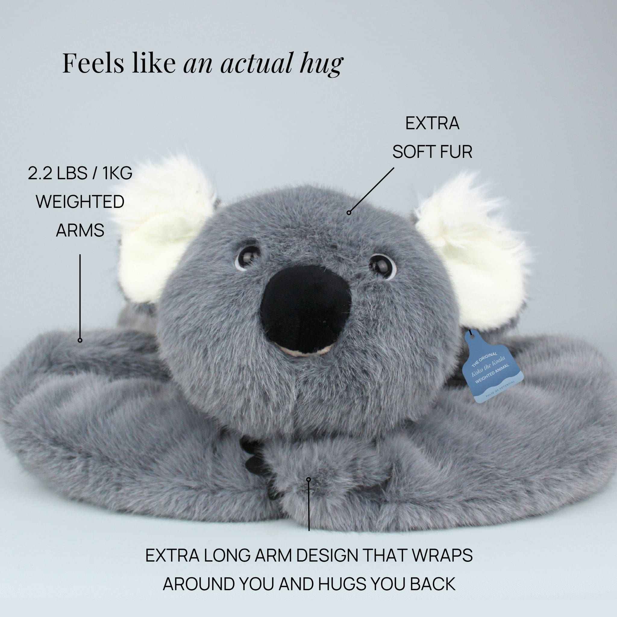 Koko the Koala Weighted Animal - Image 5