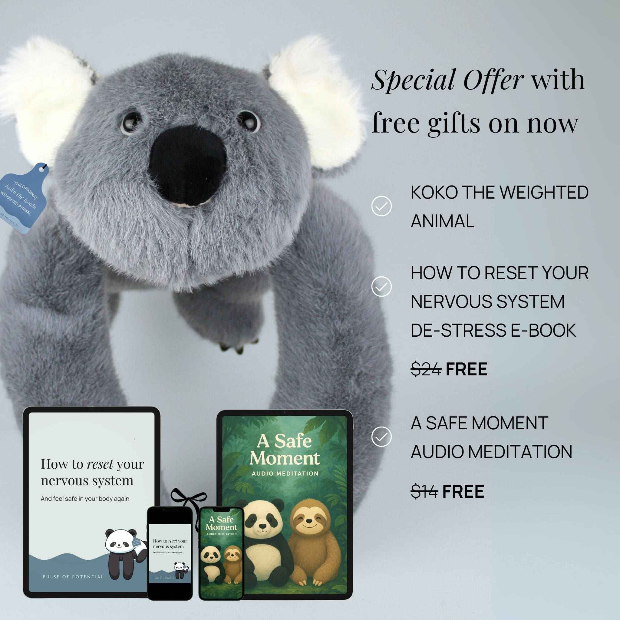 Koko the Koala Weighted Animal - Image 9
